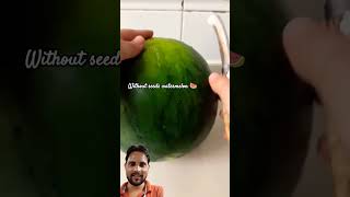 Without seeds watermelon 🍉 ✂️ awesomefruitscutting watermelon satisfying fruit [upl. by Adneram]