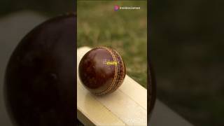 क्रिकेट का आविष्कार 🤔😨shorts cricket [upl. by Rena]