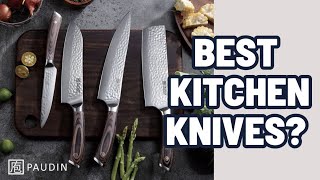 UNBOXING Ultra Sharp Paudin Kitchen Knives Review [upl. by Whiffen]