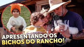 VEM CONHECER OS BICHOS DO RANCHO PESSOAL [upl. by Eimia]