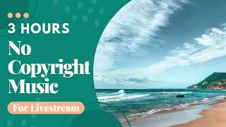 Background Music for Live Streaming 3 Hours No Copyright Music [upl. by Yoccm]