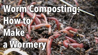 Worm Composting How to Make a Wormery [upl. by Ellissa607]