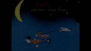 eels electro shock blues lyric video [upl. by Niple]