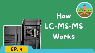 Grow Your Dendrites EP 4 How LCMSMS Works [upl. by Capon408]