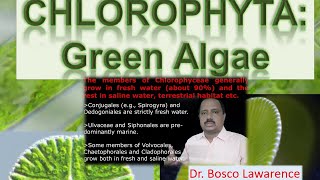 General characters of Chlorophyceae [upl. by Bosch469]