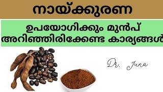 നായ്കുരണ ഉപയോഗിക്കും മുൻപ് അറിഞ്ഞിരിക്കേണ്ട കാര്യങ്ങൾ naikurana health benefits [upl. by Donelson20]