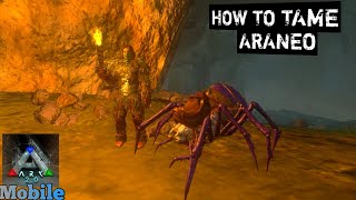 How To Tame Araneo Ark MobileS1E05 [upl. by Irahc]