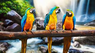 Birdwatching Paradise Bolivias Avian Wonders Up Close animal2024 wildlife cute [upl. by Giuliana360]