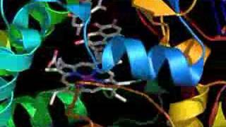 P450 Coupling Enzyme Active Site [upl. by Eylk]