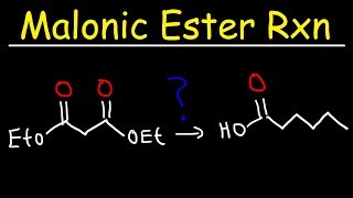 Malonic Ester Synthesis Reaction Mechanism [upl. by Anatollo]