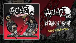 Acidez  In Punk We Thrash Español [upl. by Channing]