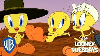 Looney Tuesdays  Best of Tweety from Looney Tunes Cartoons  Looney Tunes  WB Kids [upl. by Specht937]