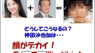 神田沙也加 顔 大きすぎる！顔が変化して行ってるけど整形かしら？ [upl. by Nalid]