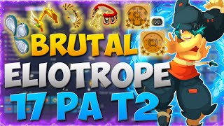 DOFUS PVP 1X1 ELIOTROPE BRUTAL 17PA T2 INSANE DAMAGE [upl. by Valentia]