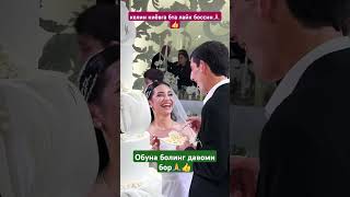 КЕЛИН ТОРТ КИЁВ ОЧ КОЛГАН cover той musica свадьба свадьба тренд wedding тикток rek [upl. by Ecnadnak689]