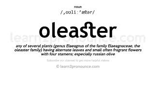 Pronunciation of Oleaster  Definition of Oleaster [upl. by Giulietta]