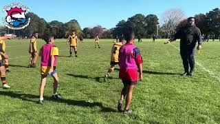 WARRIORS Otara Scorpions VS MARLINS GOLD Manurewa Marlins U10 2024 [upl. by Kelsy735]