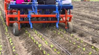 FX Evolution Transplanter [upl. by Albertine]