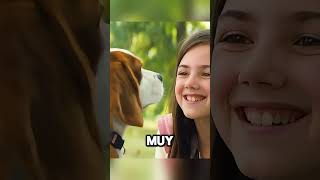 También quiero tener perros lindos shorts viralvideo [upl. by Jasmine443]