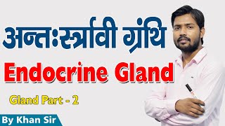 Endocrine Gland  अंत स्रावी ग्रंथि  Part  2  Khan GS Research Center [upl. by Thea]