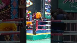 Orangutan Boxing Training in Thailand Please Read Description [upl. by Ulyram]