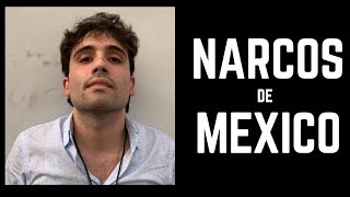 NARCOS DE MEXICO AUDIOLIBRO COMPLETO GRATIS PARA ESCUCHAR VOZ REAL [upl. by Selohcin964]