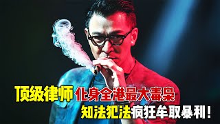 2024刘德华最新爆爽港片《潜行》，顶级律师化身全港最大毒枭，知法犯法疯狂牟取暴利！ [upl. by Nnahaid989]