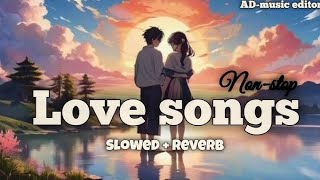 Love Songs 💕 SLOWEDReverb😈 Love Story Song ❤️ love 2024 Song ❤️ Official song 🙅🏻 [upl. by Nahaj]