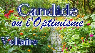 Candide Voltaire [upl. by Allertse595]