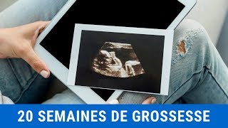 20 semaines de grossesse  Comment se comporte bébé dans votre ventre [upl. by Nahtanhoj899]