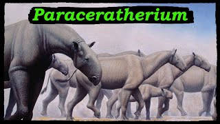 Paraceratherium the Hornless Rhino that weighed 20 Tons [upl. by Teodor]