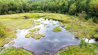 Beaver Meadow Hunting Club [upl. by Barger]