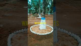 Farm land sale in Coimbatore farmland lowbudget tredingshorts investmentproperty kovai [upl. by Dudley]