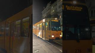 Straßenbahn Mainz Tram 276 Typ M8C Stadtbahnwagen M tramspotting auf der Linie 53 nach Hechtsheim [upl. by Ohl]