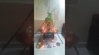 Todays tulsi vivahpuja [upl. by Thury]