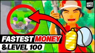 FAST amp EASY Money Guide and FAST Level 100 Guide for Pokemon Brilliant Diamond and Shining Pearl [upl. by Ebert]