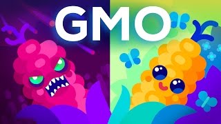 Are GMOs Good or Bad Genetic Engineering amp Our Food [upl. by Roger362]