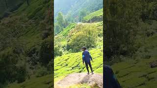 MUNNAR Trip 💚🌿 With FRIENDS 👬🫣munnartrip munnarvibes nature munnar friendship trendingshorts [upl. by Ochs]