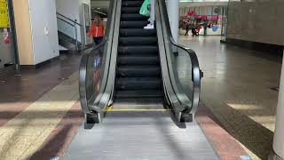 Otis Escalator at the Entrance of the Mall in Cribbs Causeway [upl. by Procora]