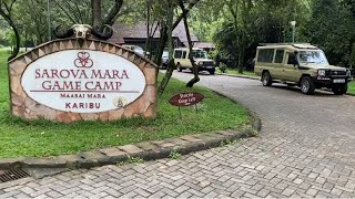 Sarova Mara Game Camp amp Resort in Masai Mara Kenya 🇰🇪 [upl. by Allemat]