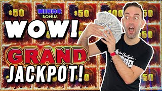 I WON the GRAND JACKPOT on BUFFALO LINK [upl. by Htebizile884]