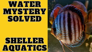 Saltwater Reef Water Perameters test Episode 16 pt 1 [upl. by Anwahsad]