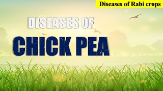 Diseases of Chick Pea  चना में बीमारियाँ  Aschochyta Wilt Grey Mold [upl. by Britney]