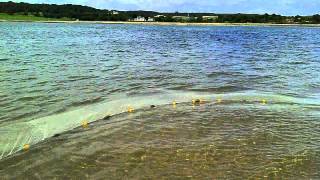 bob fishing in anglesey [upl. by Laflam]