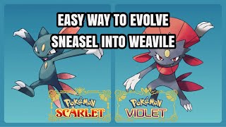 How to Evolve Sneasel Into Weavile  Razor Claw  Pokemon Scarlet amp Violet [upl. by Vrablik]