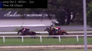 Cranbourne Jump Outs 5 Dec Jump Out 2 [upl. by Clougher62]