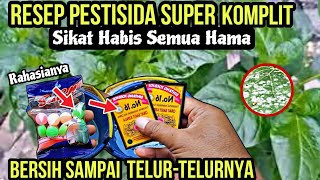 Sikat Habis Semua Hama Sampai Telurnya  Pakai Insektisida Racikan Sendiri Super Dahsyat [upl. by Brandon]