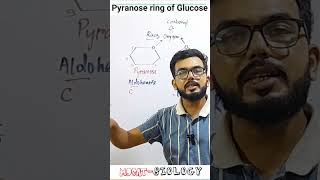 Pyranose of glucose MDCAT Biology lectures [upl. by Kciredohr]