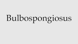 How to Pronounce Bulbospongiosus [upl. by Ailemac]