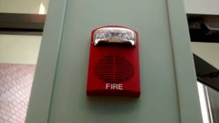 Fire Alarm Activation Due to Suppression System [upl. by Enelam]